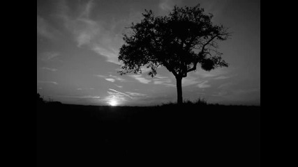 Mogwai - Take me somewhere nice