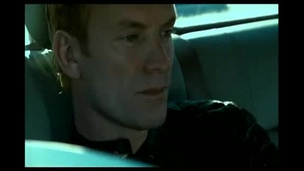 Sting - Desert Rose