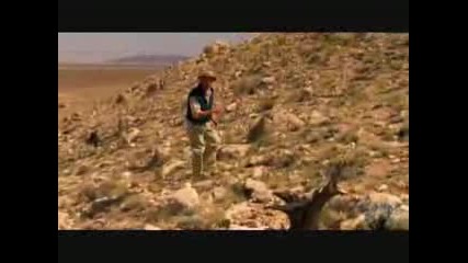 Discovery Channel - Еволюцията На Живота (част1)
