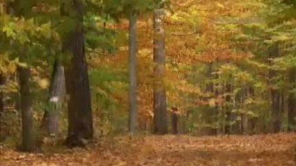 Enya - Само времето