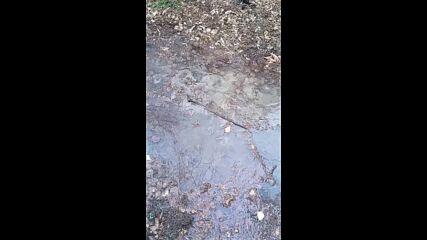 Теч от топлопровод в София, кв. Мусагеница