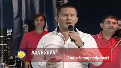 Bane Sevic - Ludosti moje mladosti - Prevod