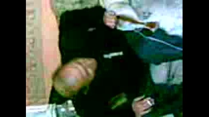 lyato polat 