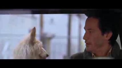Lake house - Sample video