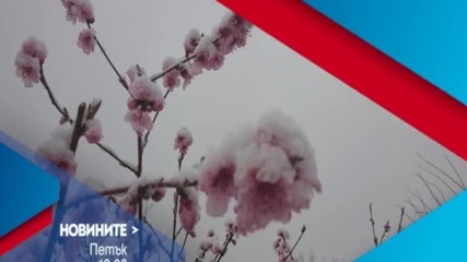 В Новините на NOVA от 12.00 ч. на 10 март очаквайте