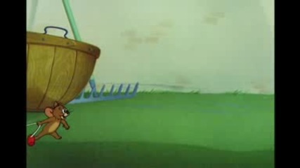 Tom & Jerry