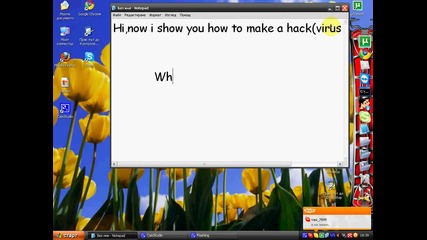 skype password hacker 2010 
