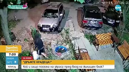 „ДРЪЖТЕ КРАДЕЦА”: Мъж задигна украса пред вход на блок