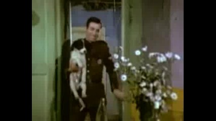 Kemal Sunal - Bekciler Krali Part 8/9