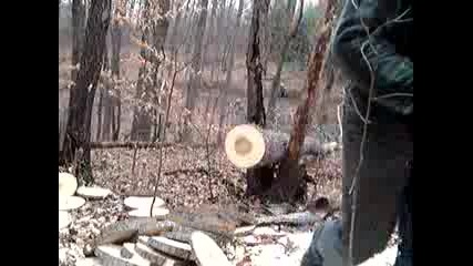 Stihl Ms650
