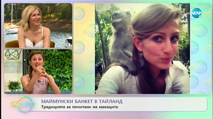 Странните обичаи по света - Испанският ритуал „Ел Колачо”