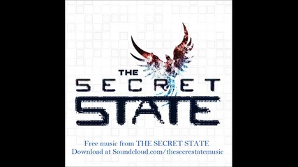 The Secret State - Perception