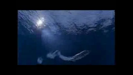 Kate Alexa - Where We Belong