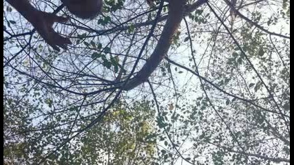 Точно в камерата