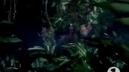 Deep Forest - Deep Forest (1993)