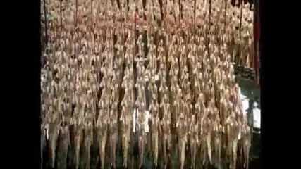 A Chorus Line - One ( Finale) 