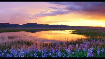 Alex M O R P H Feat Ana Criado - Sunset Boulevard (paul Van Dyk Remix)
