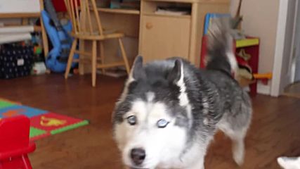 Hello - Cutest 3 Second Video Ever
