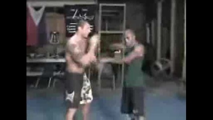 Batista traning
