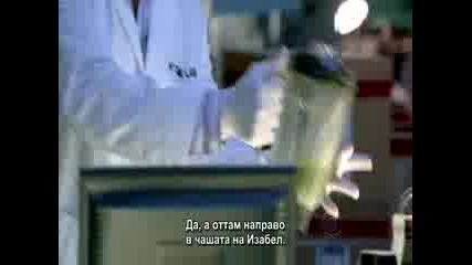 Csi New York - Season 5 ep 11 От местопрестъплението Ню Йорк - Сезон 5 ep 11 Целия