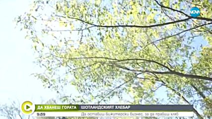 „Да хванеш гората”: Шотландският хлебар