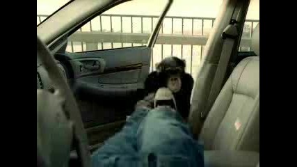 Жива аларма в кола ! Шимпанзе !!!