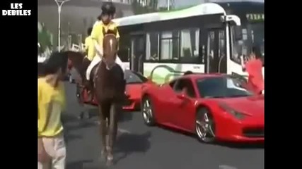 Кон vs Ferrari ( Смях )