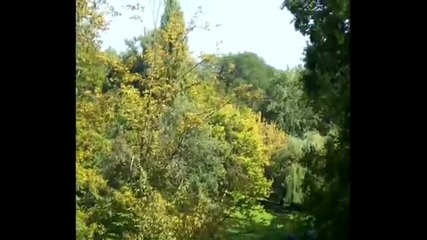 Chris Rea - And you my love