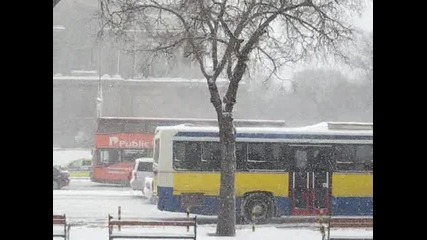 Devetomartenska vielica vav gr. Varna 