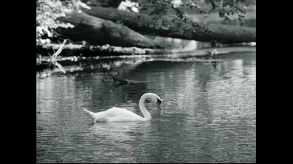 Yalnizim.wmv