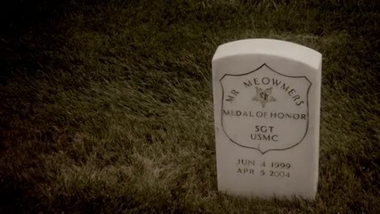 Medal of Honor Котка