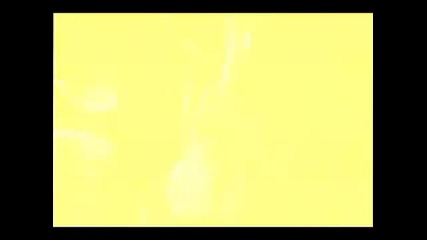 Morandi - By your side