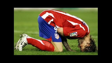 fernando torres 