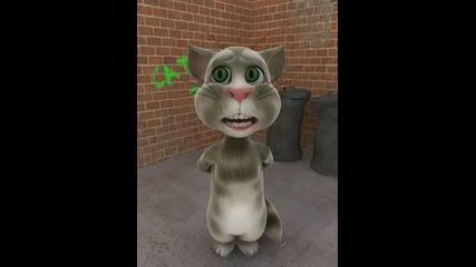 Говорещият котарак е шефе