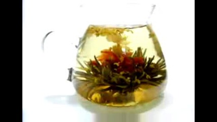 Osmanthus blooming tea - Art Tea - Dan Gui Piao Xiang