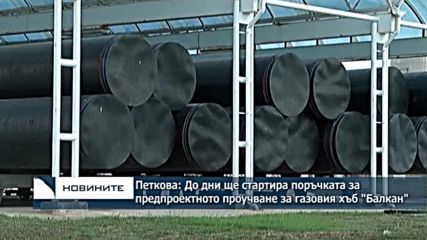 Петкова: До дни ще стартира поръчката за предпроектното проучване за газовия хъб "Балкан"