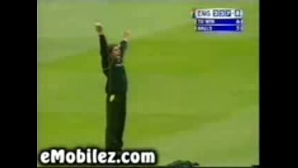 Good Catch