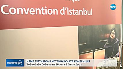 Съветът на Европа: Истанбулската конвенция не въвежда трети пол