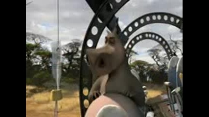 Madagascar 2