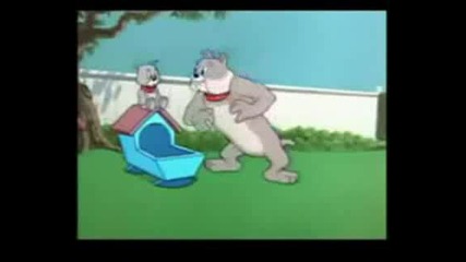 Tom And Jerry Parodiq