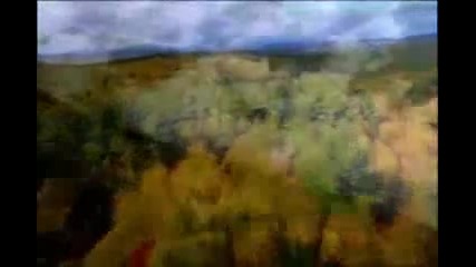 I_miss_you_most_of_all_tree_tran