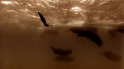 Vangelis - Prelude . . .