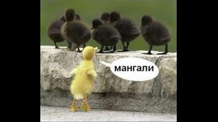 смешни картинки [;dd]