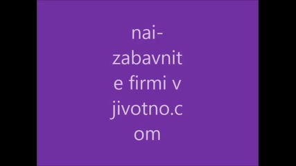 nai-zabavnite firmi v jivotno.com