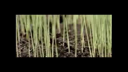 Linkin Park - What I ve Done