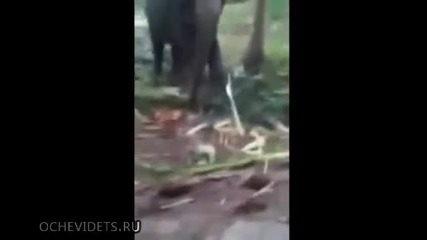 Нокаут!