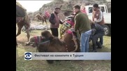 Фестивал на камилите в Турция