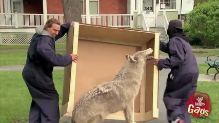 Да станеш за смях - Скрита Камера. Епизод 74