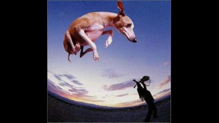 Paul Gilbert - Down to Mexico (studio)
