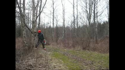 Stihl Ms 260